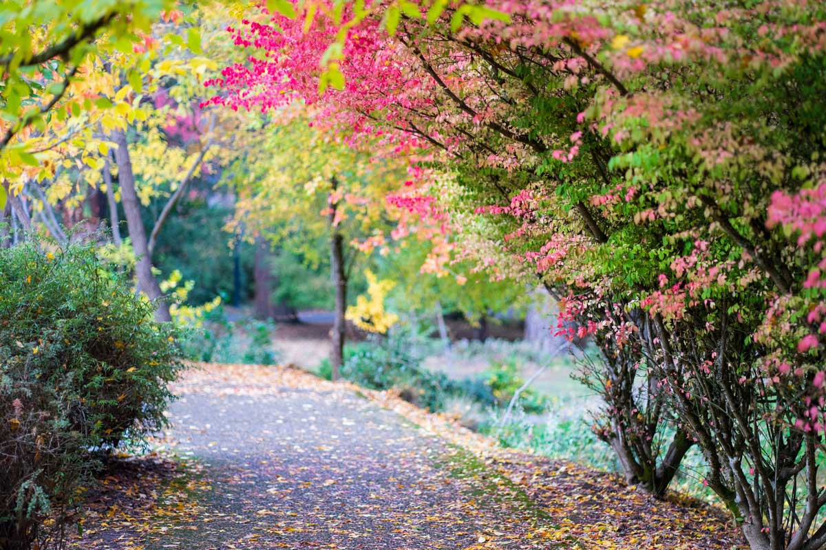 Ashland, Oregon path in Lithia Park in autumn